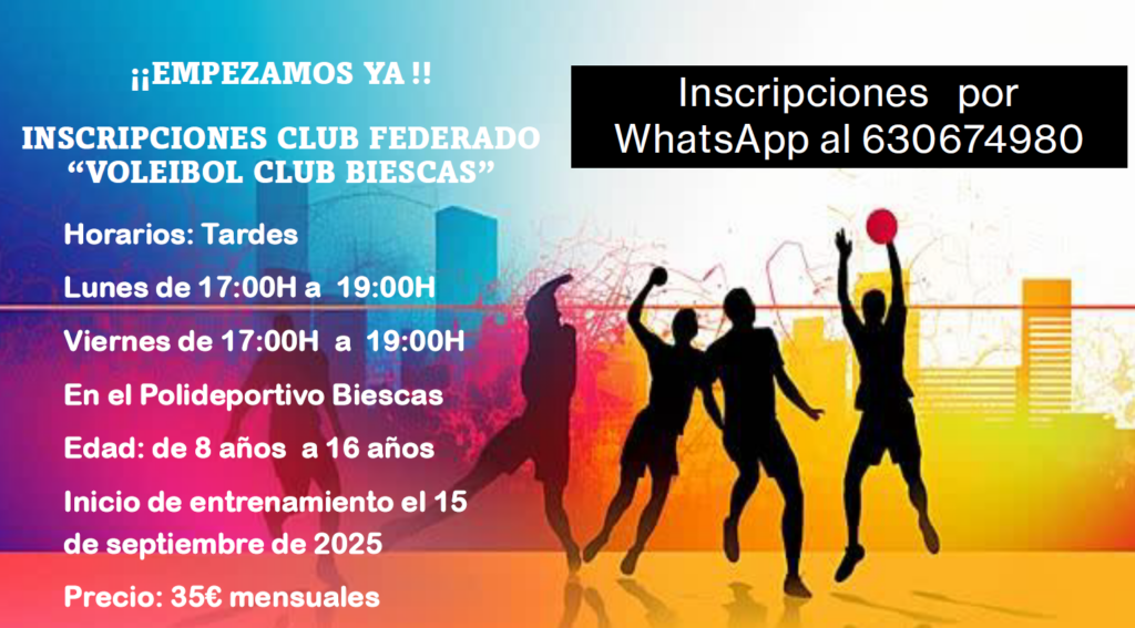 Voleibol