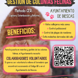 gestión colonias.PNG